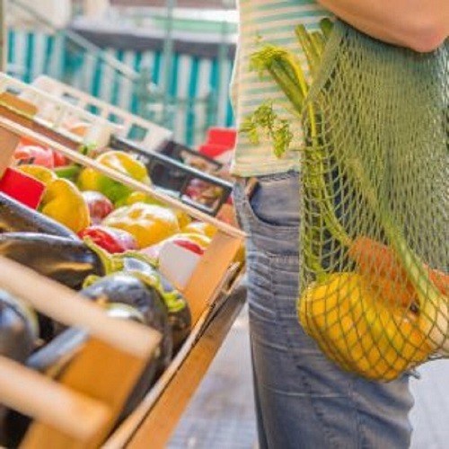 ¿Sabes qué son los Alimentos Orgánicos? | vidalia 5