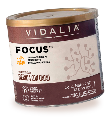 Inicio | vidalia 4