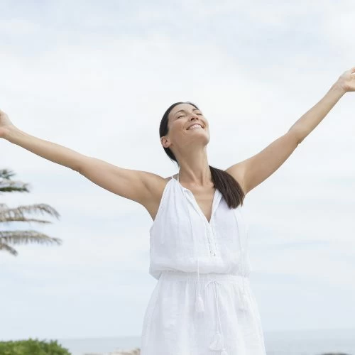 5 beneficios de la linaza: decídete a incorporarla en tu dieta | vidalia Bienestar emocional: conoce los factores que lo determinan