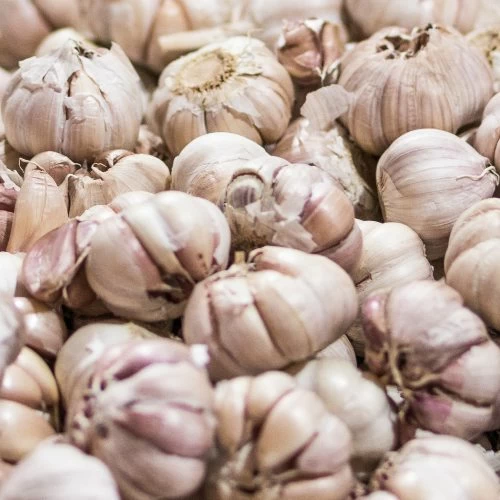 5 alimentos prebióticos que pueden ayudar a tu salud digestiva | vidalia 5 alimentos prebióticos que ayudan a tu digestión.