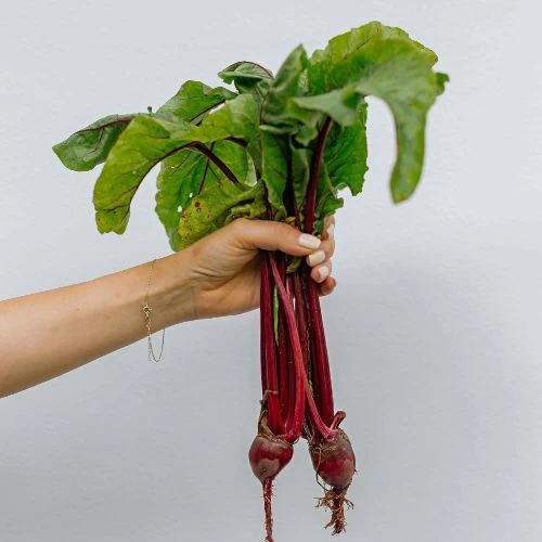 Conoce a los antinutrientes y su incomprendida función en la nutrición | vidalia Antinutrientes: qué son y cómo reducir su efecto