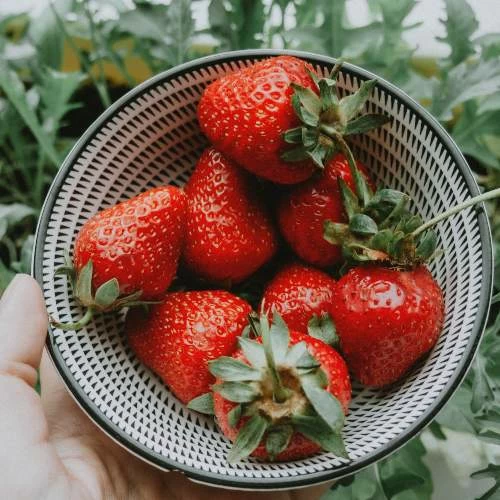 Conoce el índice glucémico de algunos alimentos | vidalia Índice glucémico de los alimentos