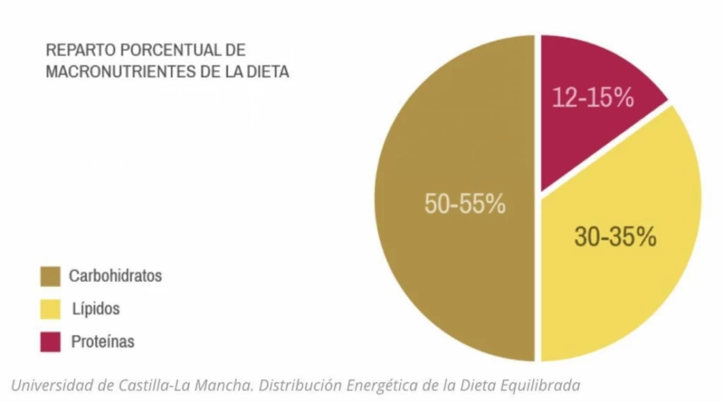 La Función de los Lípidos: Un macronutriente que necesitamos en nuestra alimentación | vidalia Macronutrientes en tu dieta